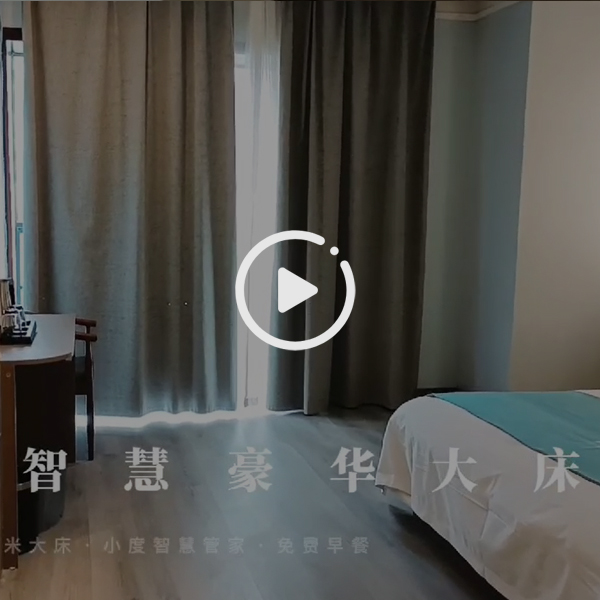 智慧豪华大床房